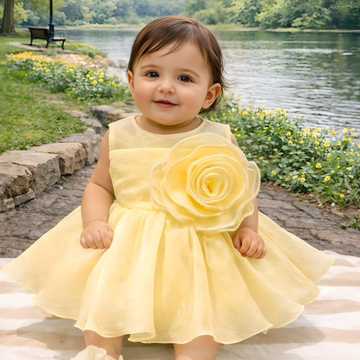 Yellow Baby Girls Party Wear Frock