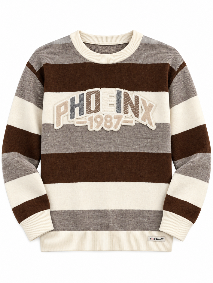 Boys Brown Striped Pullover