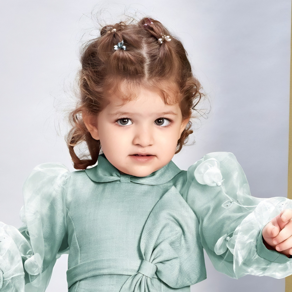 Woven Full Puffed Sleeves Bow Frock