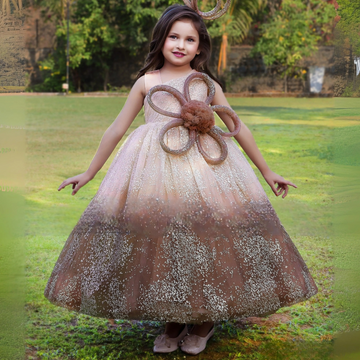 Coffee Shaded Georgette Gown With Zari Weaving