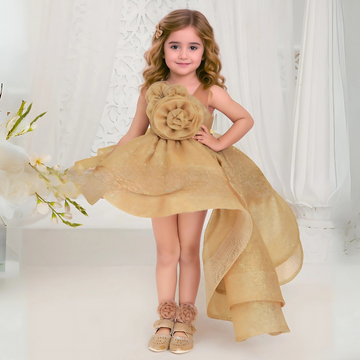 Girls Embellished With Floral Tail Back Frock