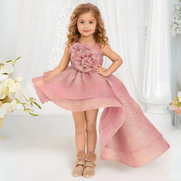 Girls Embellished With Floral Tail Back Frock