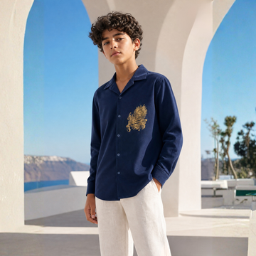 Boys Stylish Blue Embroidered Shirt