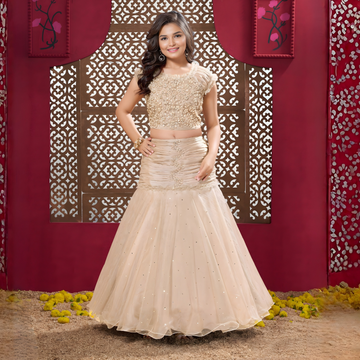Fawn Embellished Mermaid-Style Lehenga Choli For Girls