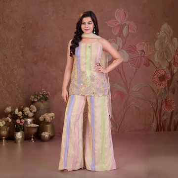 Ladies multicolor embroidered palazzo set full view