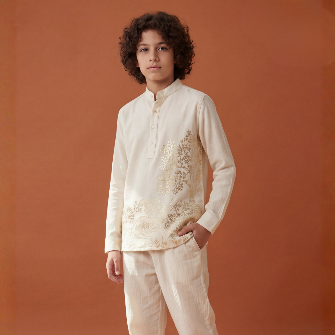 Regular Fit Embroidered Mandarin Collar Festive Shirt