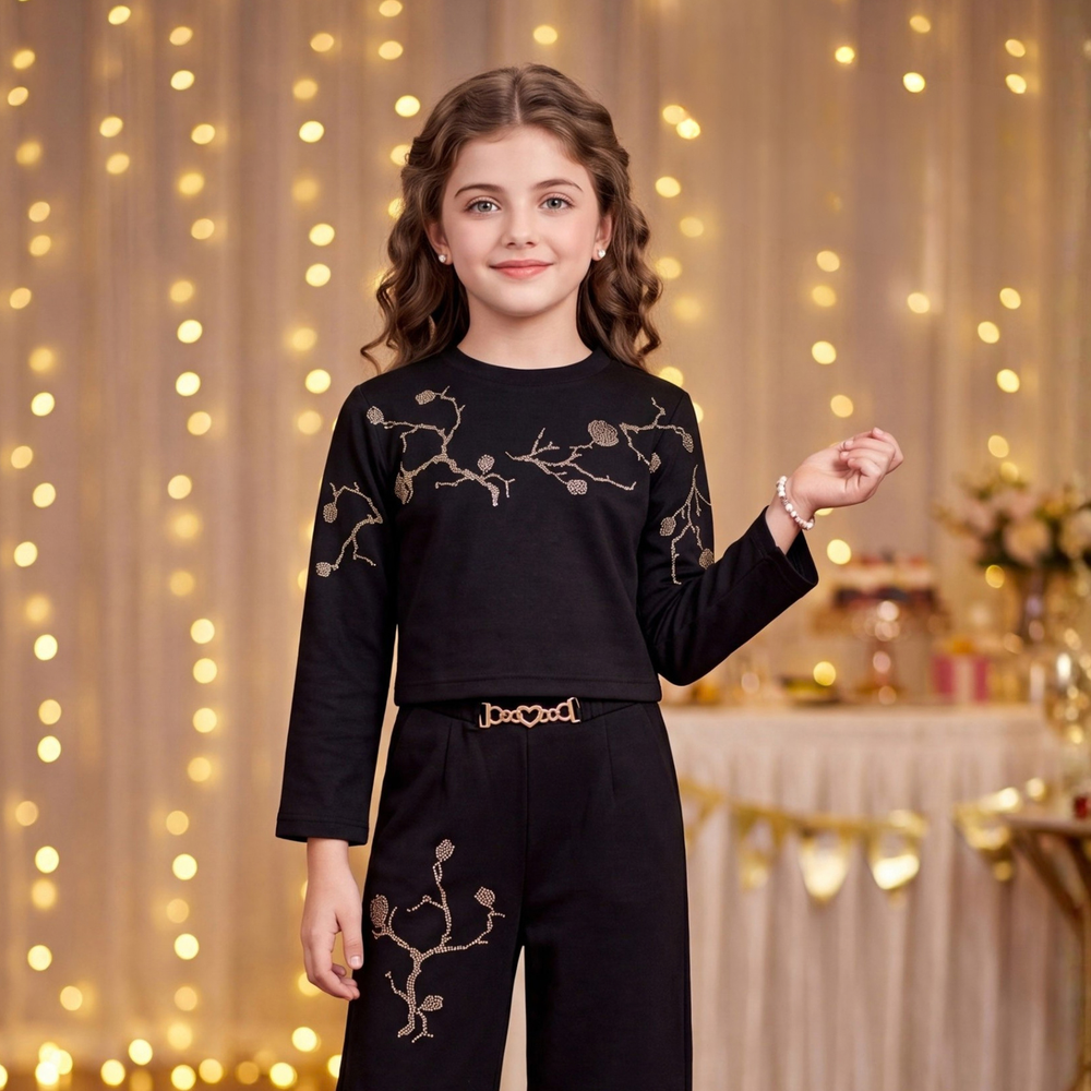 Golden Embroidered Black Co-ord Set