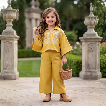 Trendy Girls Rayon Embroidered Co-Ord Set