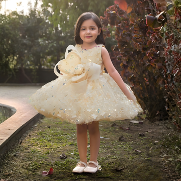 Cream Floral Embellished Party Frock For Girls