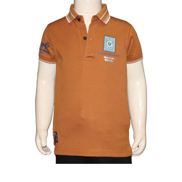 Rust cotton  t-shirt For Boys