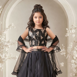 Black Sequin Work Blouse WIth Unique Style Organza Lehenga Choli