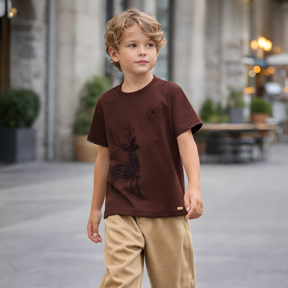 Boys Brown Round Neck Half Sleeve T-Shirt