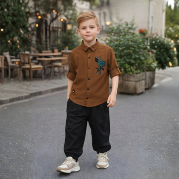 Boy's Brown Stylish Full Sleeve Shirt