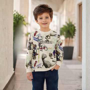 Dinosaur Graphic Printed Sweat T-shirt For Boys