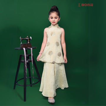 Luxe Cream  Gold Tone Crushed Banarasi Tissue Palazzo Set